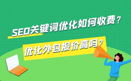 SEO关键词更新软件报价、优化收费与智能营销中心 一位开发者的自白